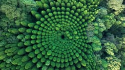 image of Miyazaki, Japan