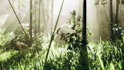 Image of destination