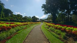 Image of destination