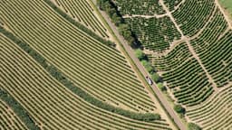 image of Ribeirão Preto, Brazil