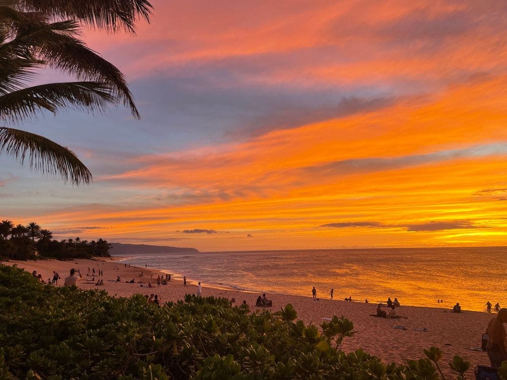 Ratepunk 7 Things to Do in Honolulu, Hawaii 2024