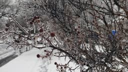 image of Dallas, United States