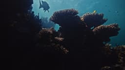 image of Exmouth, Australia