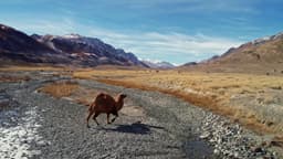 Image of destination