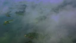 Image of destination