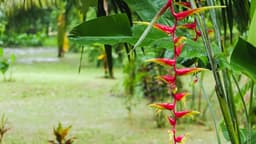 image of Wewak, Papua New Guinea