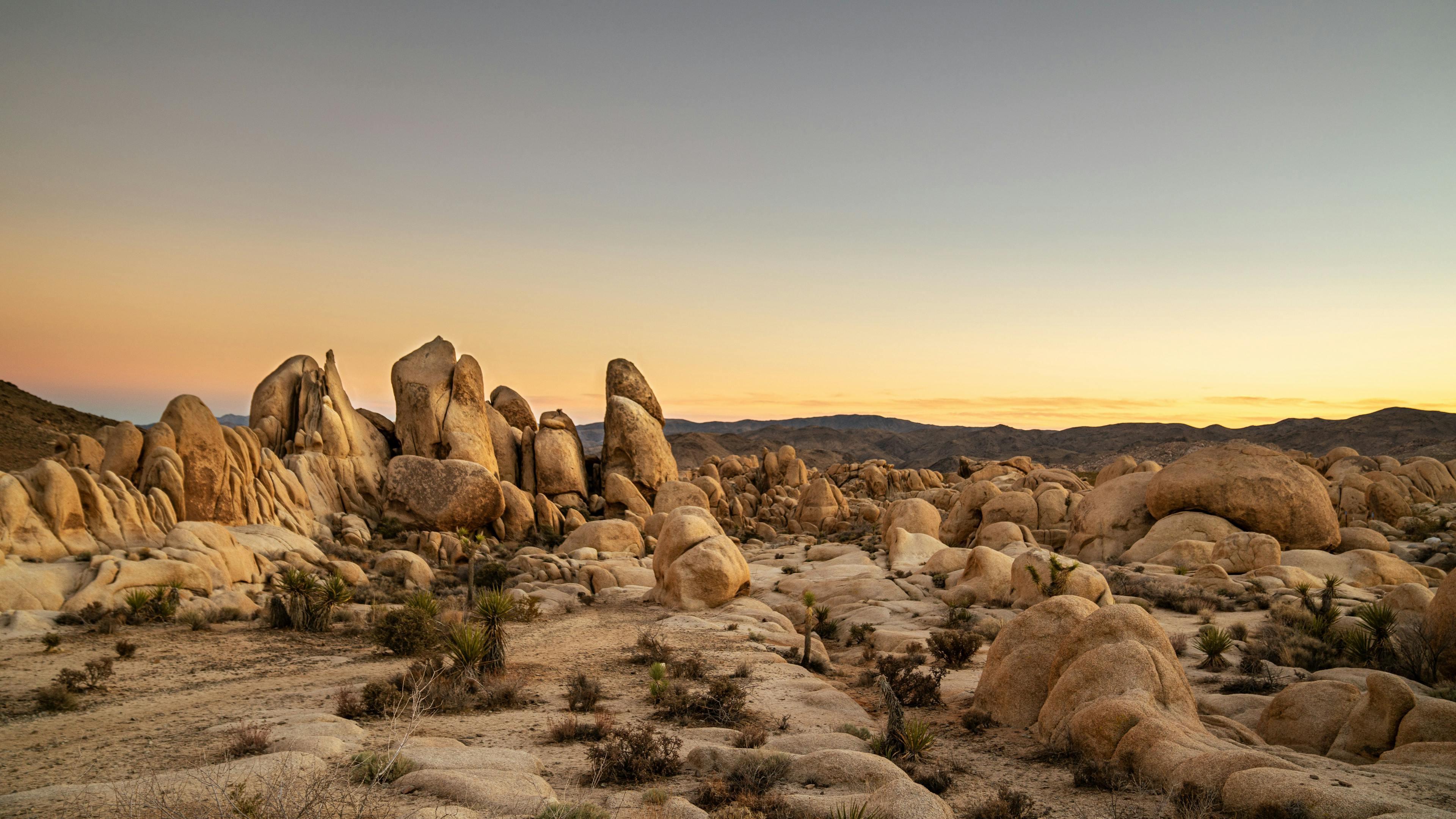 bes places to visit in California in 2023, Joshua Tree National Park, RatePunk