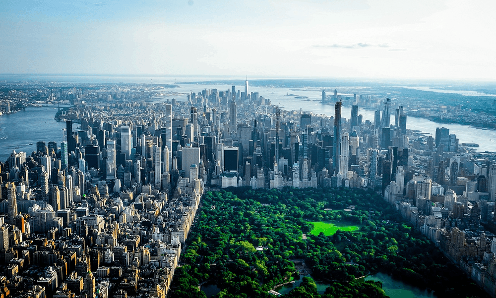 Best 25 Hotels near Central Park NYC – 2025 Edition